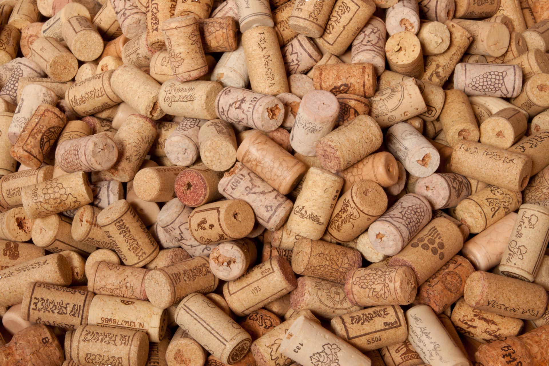 Cork: Nature's Most Sustainable Material