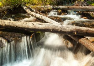 Clear Creek - A Part of History - Talie Jane Interiors