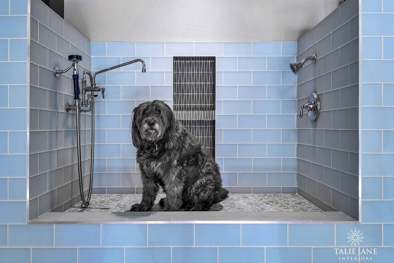 Light blue tile bathroom and stone flooring for dog bath space