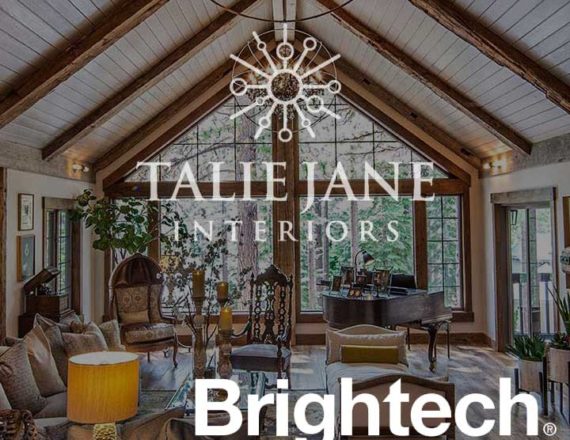 Talie Jane Interiors featured as Brighttech's Top 20 Interior Designers in Reno!