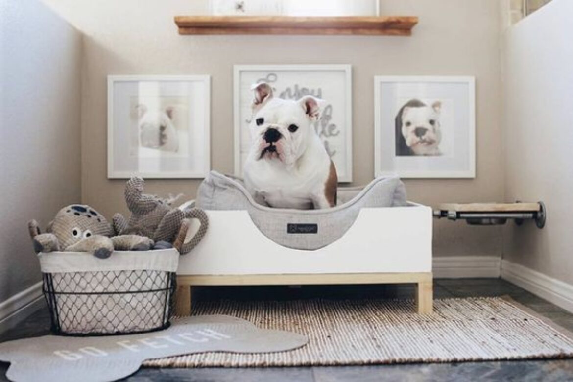 Interior Design with Your Pets In Mind - Talie Jane Interiors
