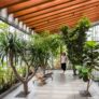 Understanding and Appreciating Biophilic Design-“Love of Nature.”